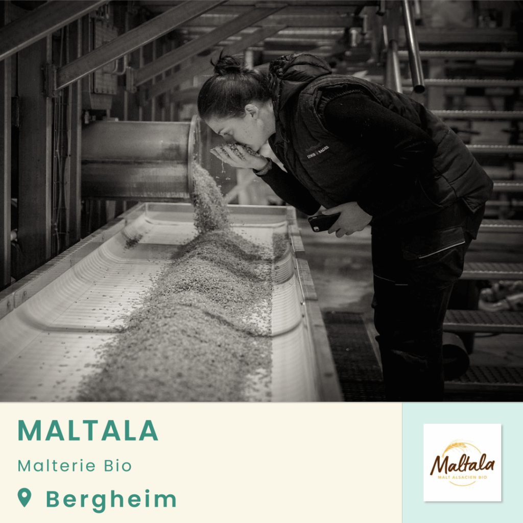 Maltala