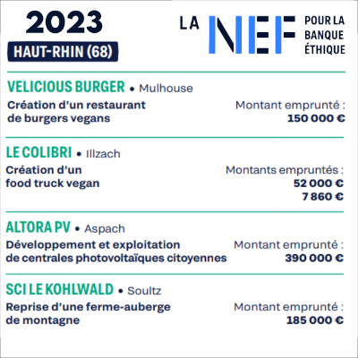 Nef2023