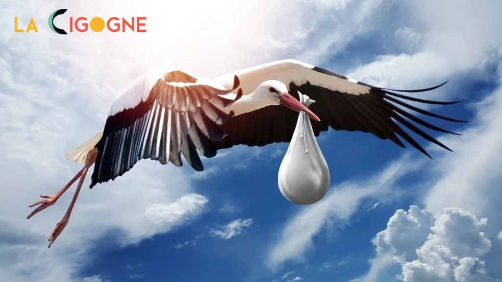 Cigogne_esseme