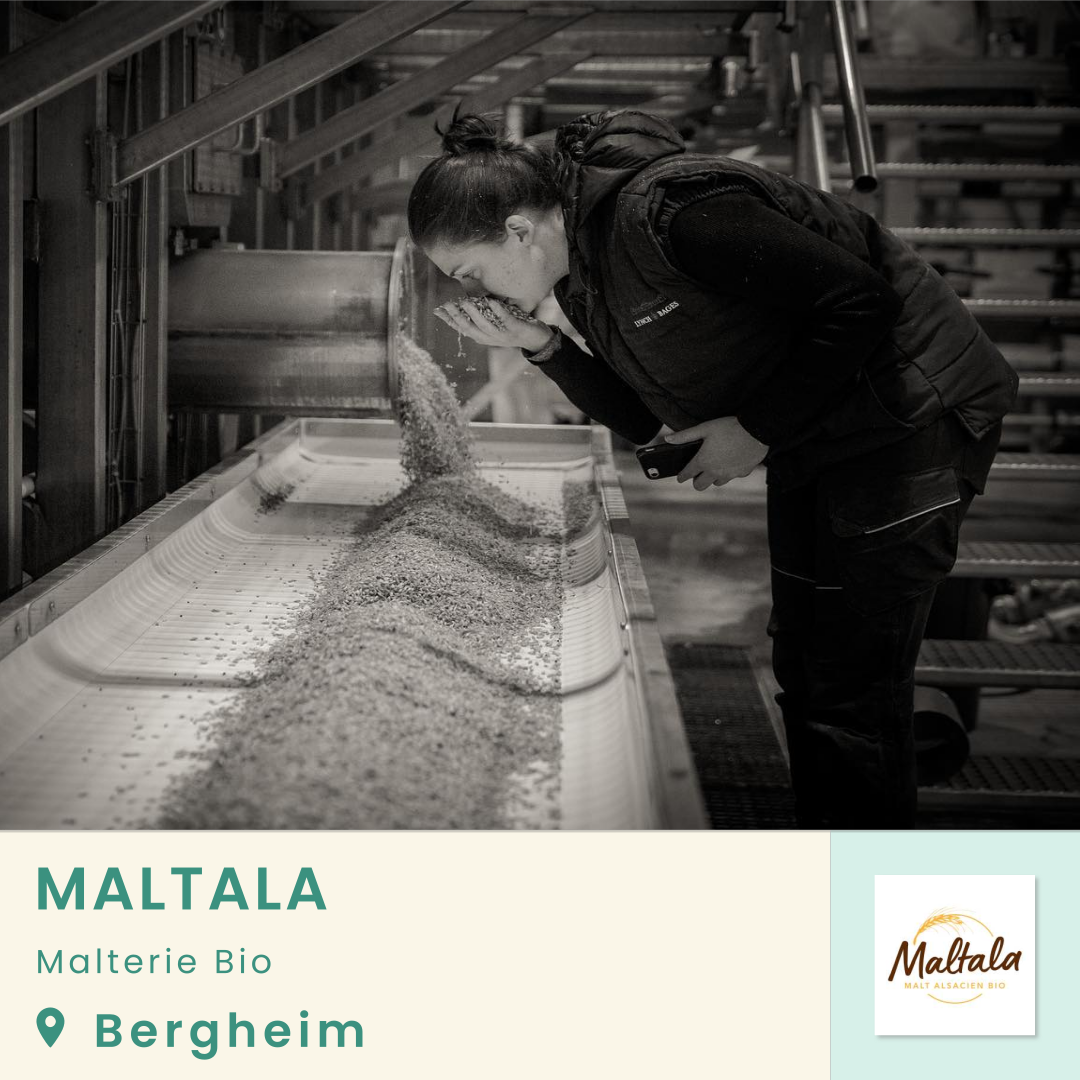 Maltala