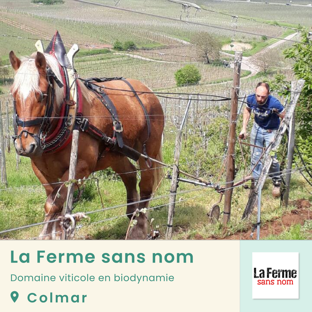 LaFermeSansNom
