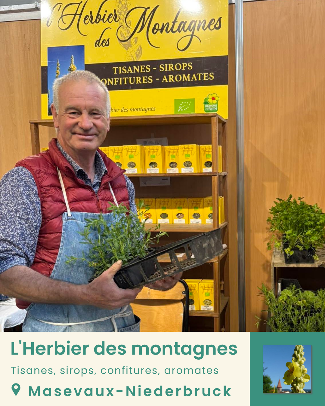 l&rsquo;Herbier des Montagnes